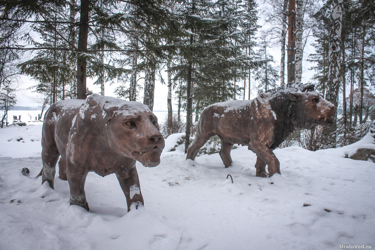 Пещерные львы