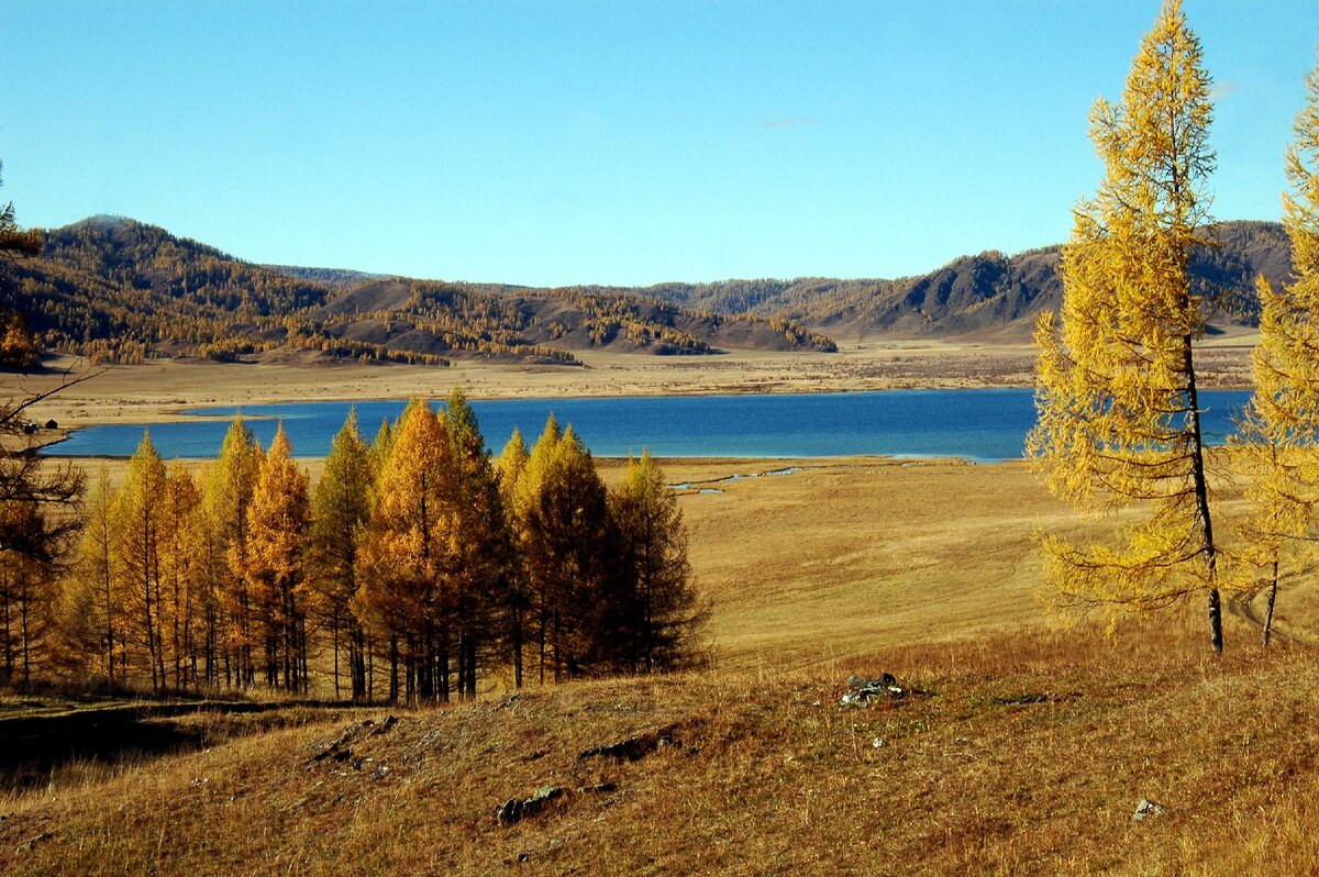 Озеро карган фото Алтай. Теньгинское озеро - интересное в обычном Ольга Шадрина Дзен