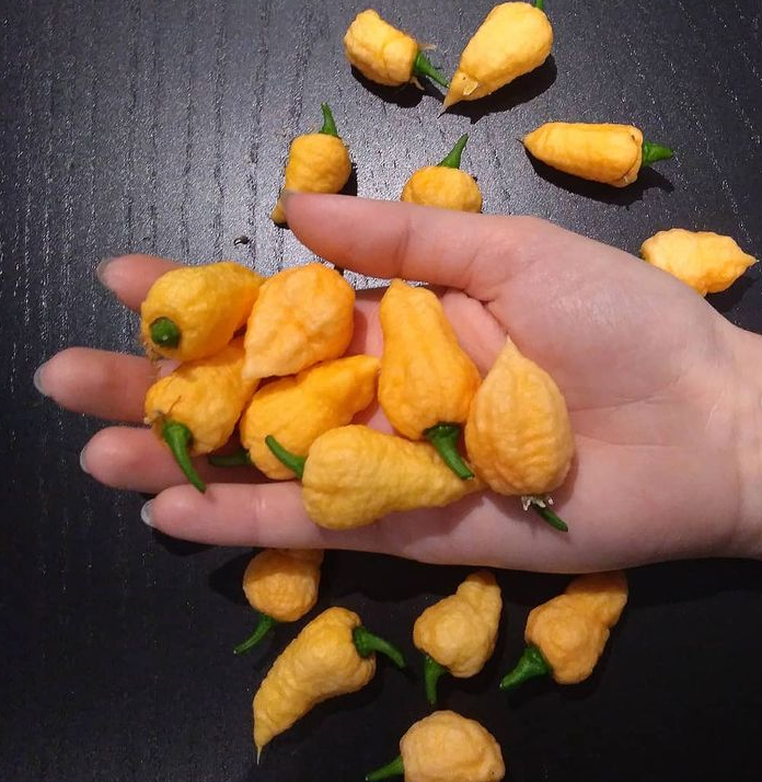 Мой урожай, декабрь 2020.