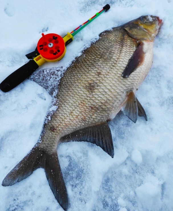 Фото автора на ресурсе  http://gallery.ru/watch?ph=cfx-imfmq