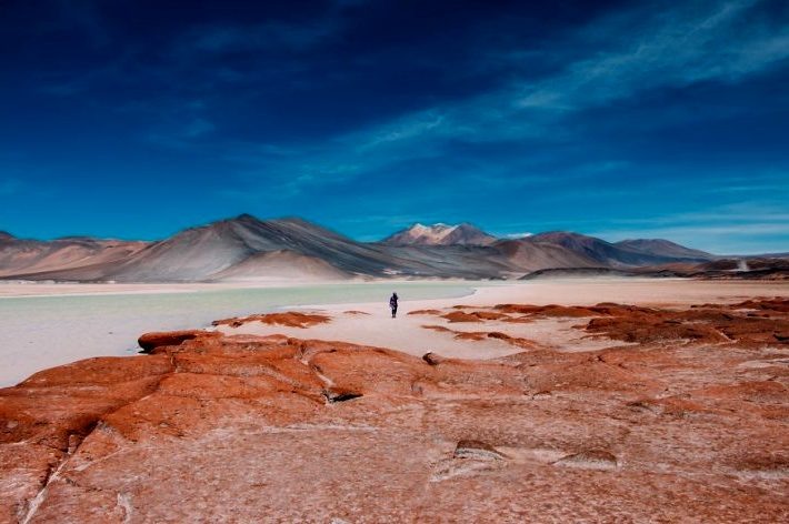 Оригинал фото на shutterstock