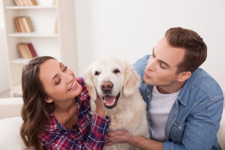 7 вещей перед покупкой собаки, которые надо согласовать на семейном совете  | ZOO CHANNEL | Дзен