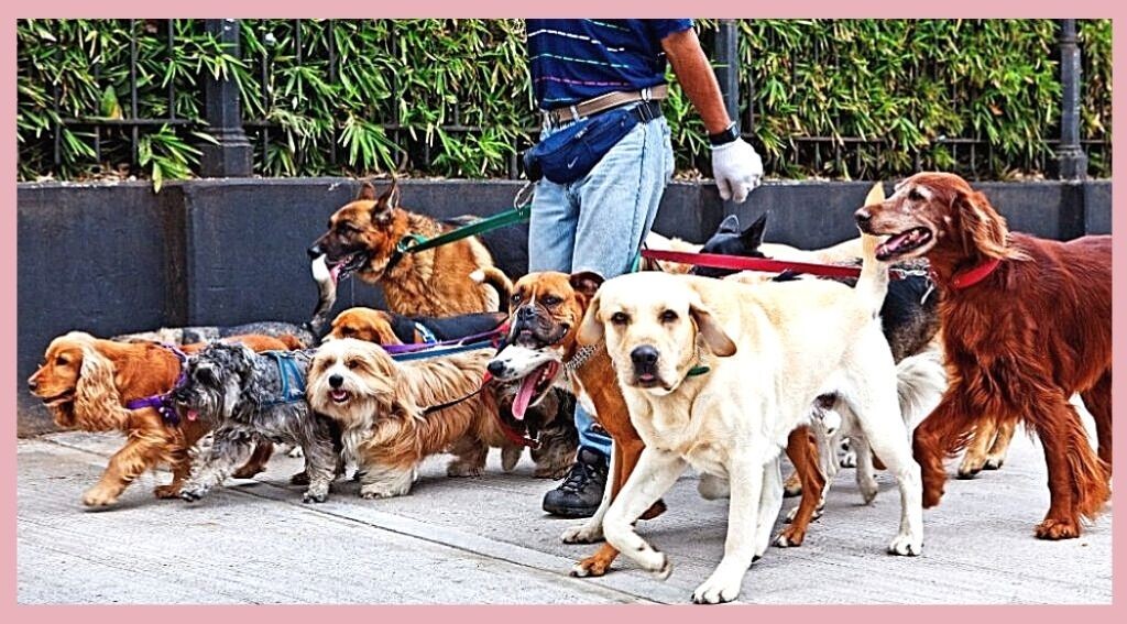 Гулять так всем вместе