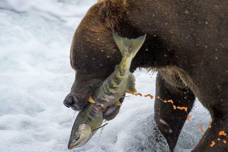 © Amy Gulick/National Geographic 