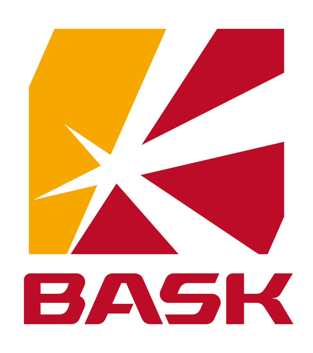 Современный логотип Bask