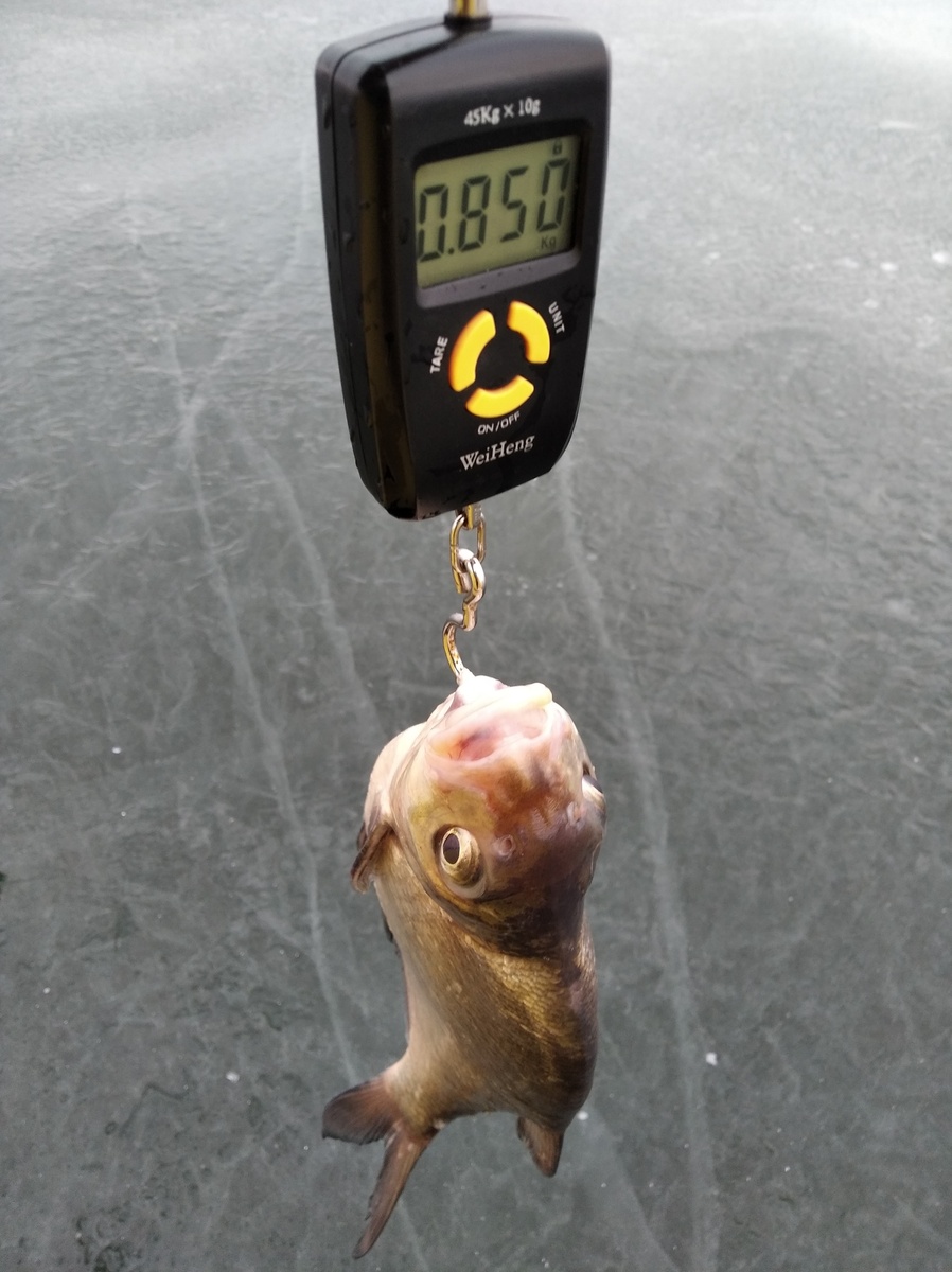 Фото Алексея Головина