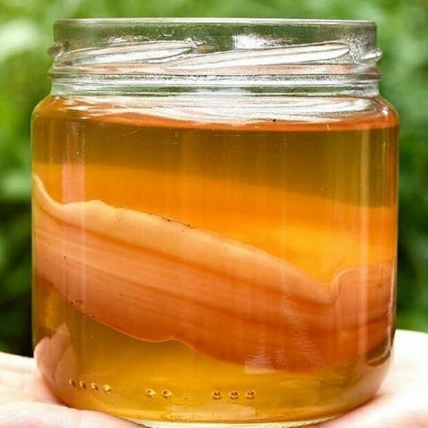     Фото: Instagram/lena_vredinaaa_