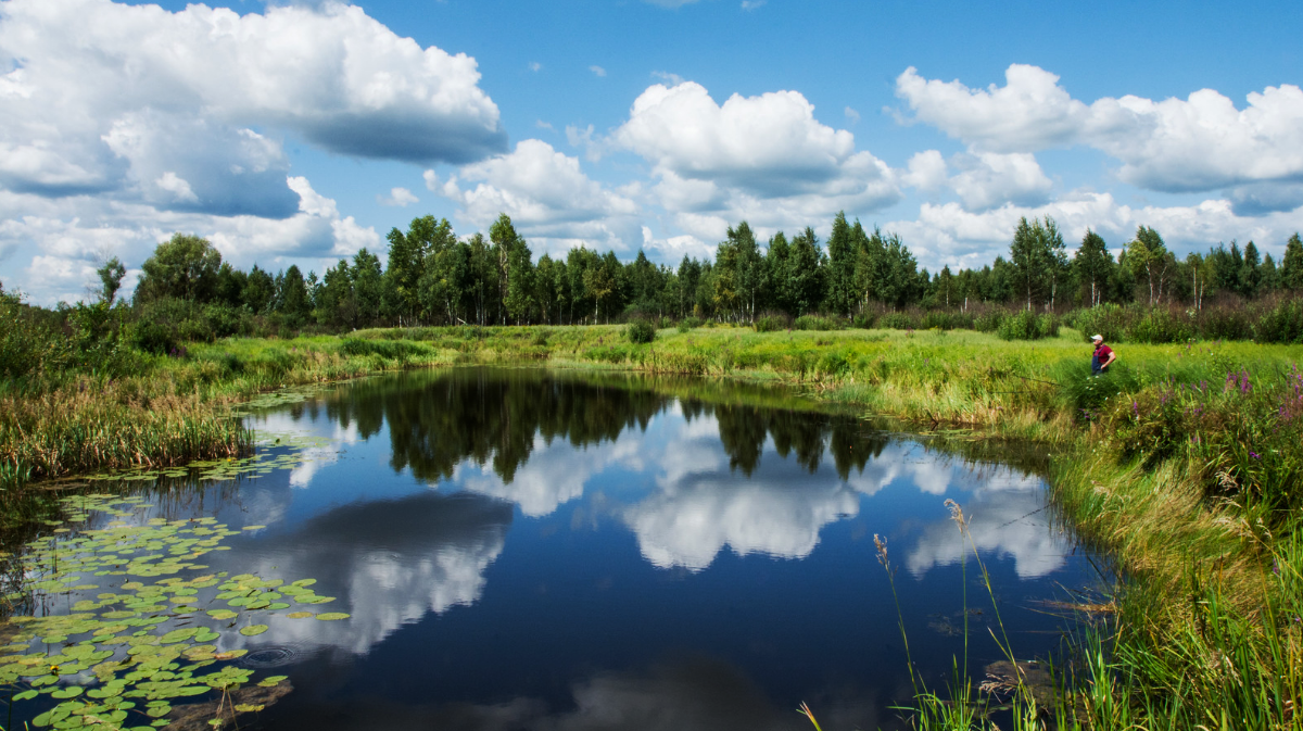 Один на водоеме! Лепота!