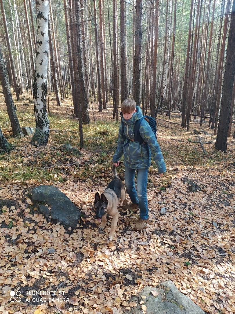 Чук-Полкан дома!