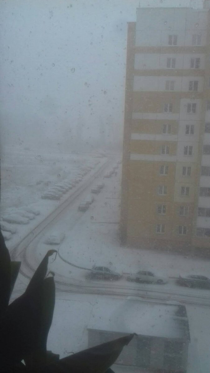 Вид из окна сейчас