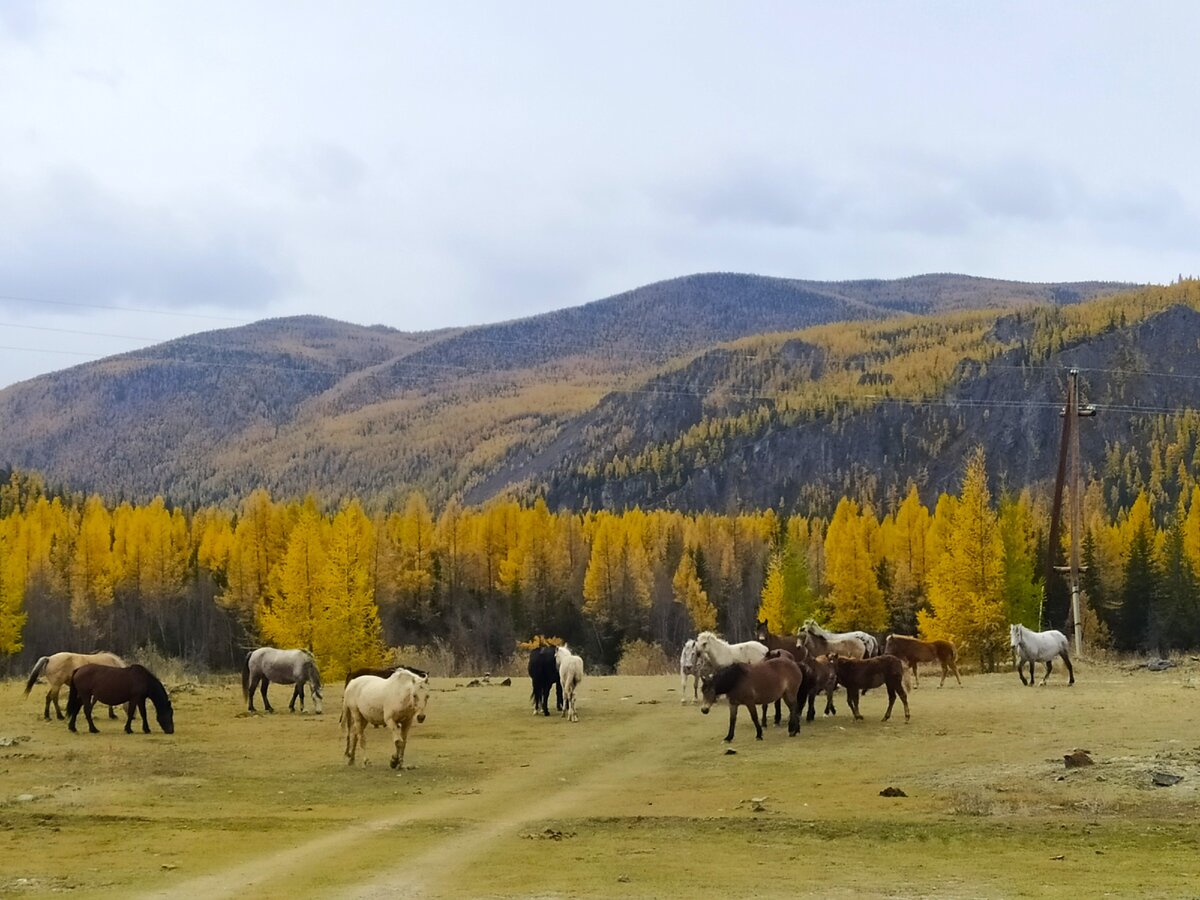 По горам экскурсия интересная