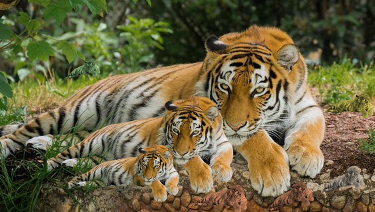 Оригинальная картинка с сайта pixabay