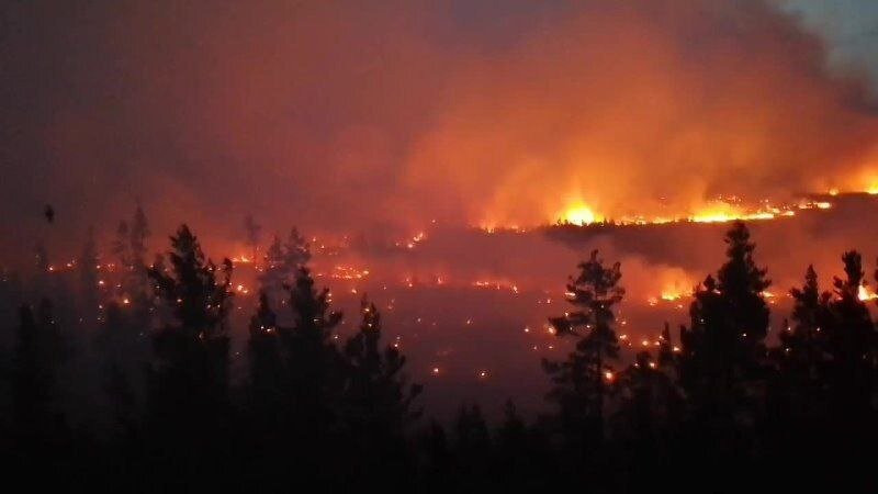 Фото из открытых интнрнет-источников