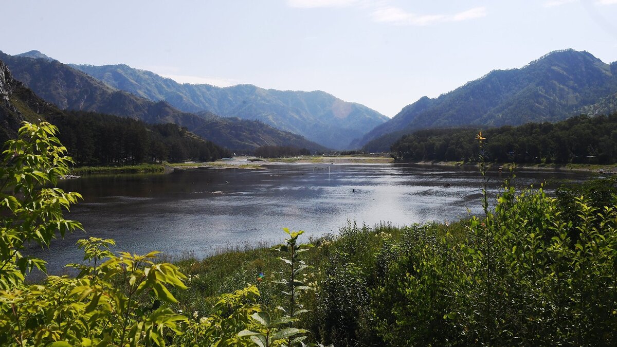   Республика Алтай© РИА Новости . Михаил Воскресенский