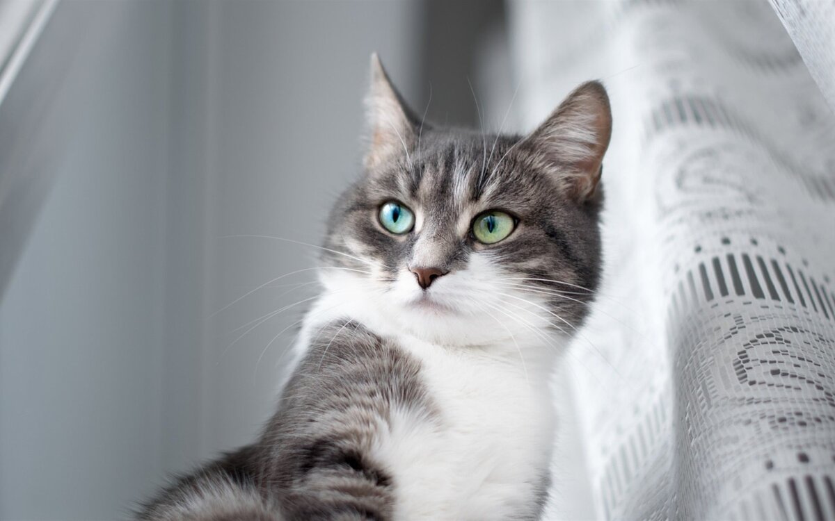 Фото из интернета.