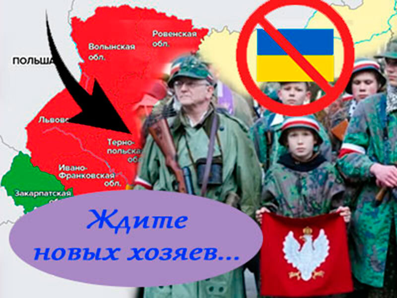 Подписывайтесь на наш канал "Нарполит" и не упустите свежие политические тренды!