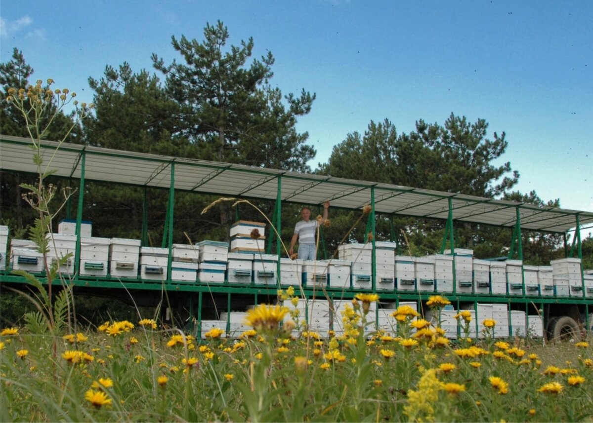 Николай Клочко на пасеке