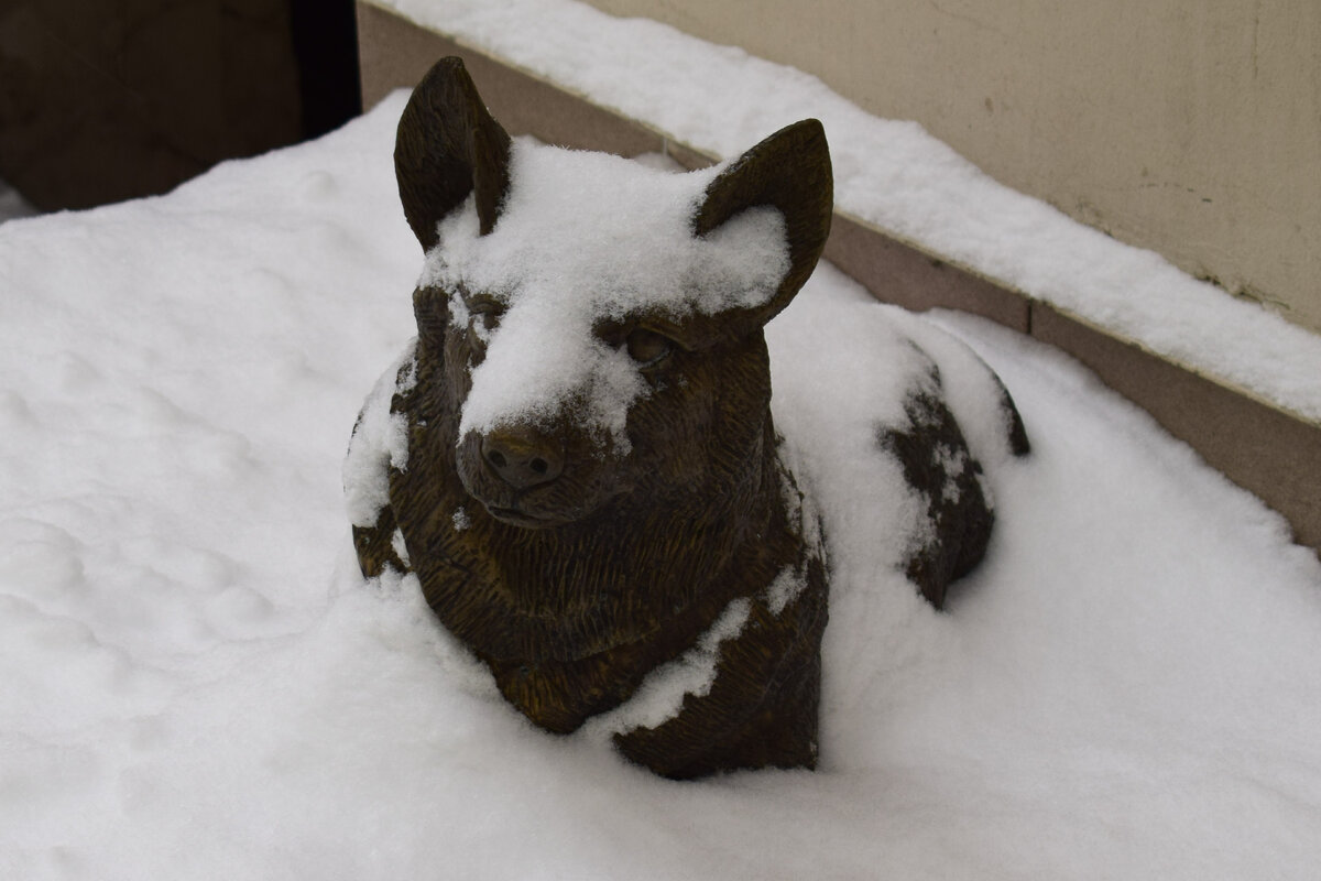 Фото автора канала "Приключения Тома Сойера".