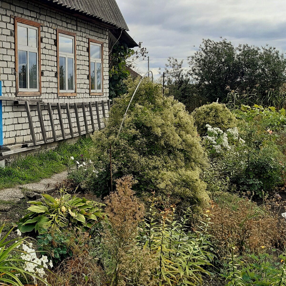 Скоро, совсем скоро, начнётся дачный сезон