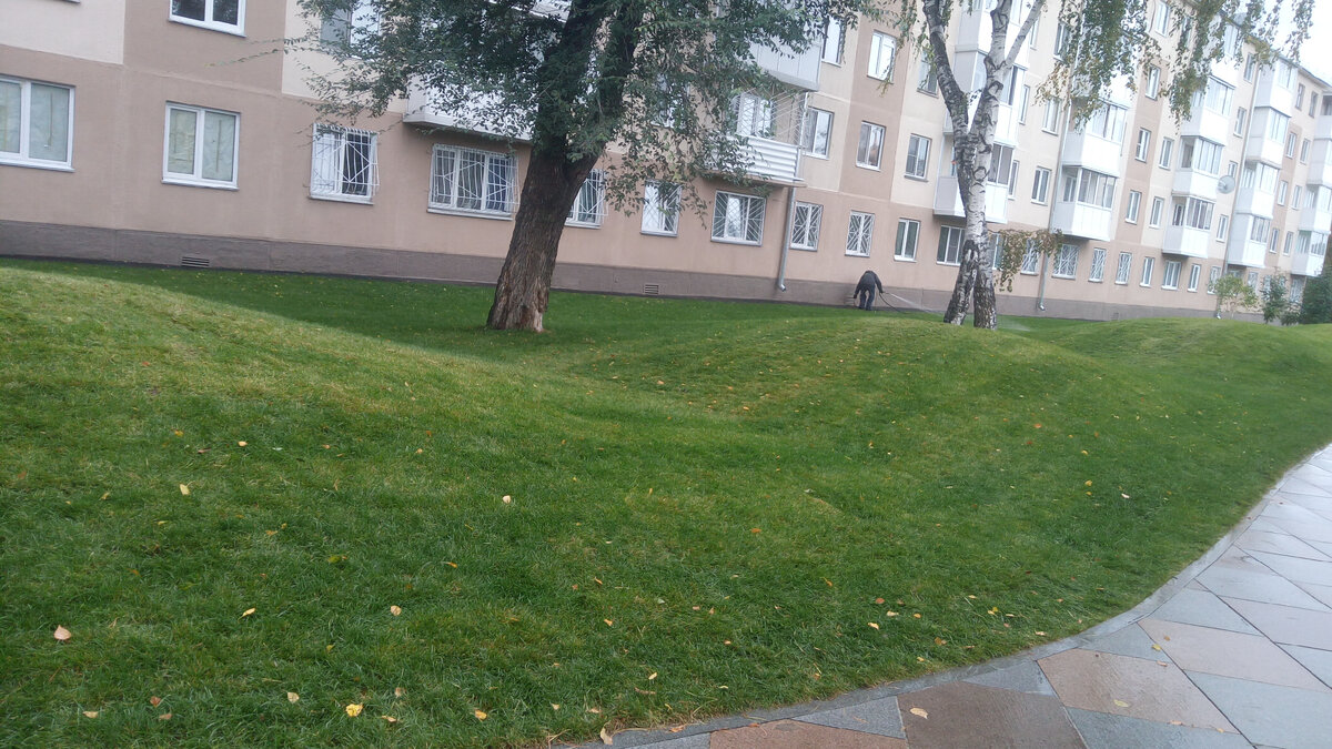 Парк Ангелов, г.Кемерово. Газон