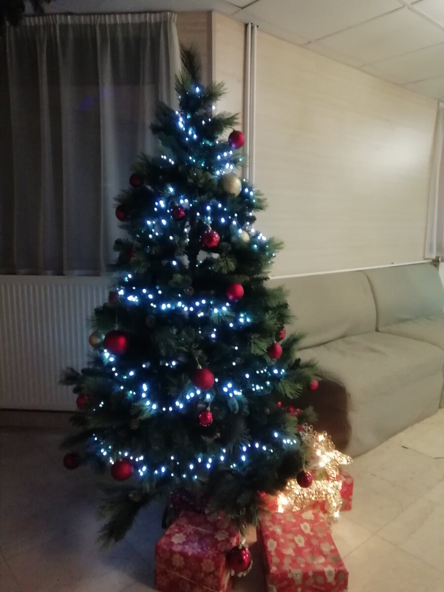 Лесные красавицы. Фото автора.