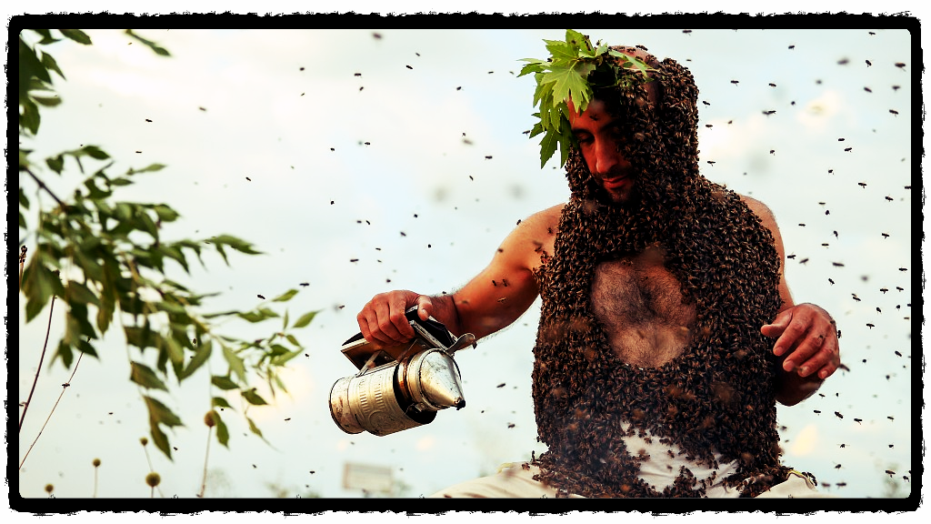 рассерженные пчелы