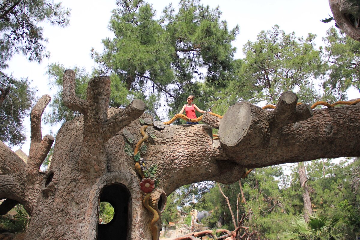 Такая вот сказочная дурочка))