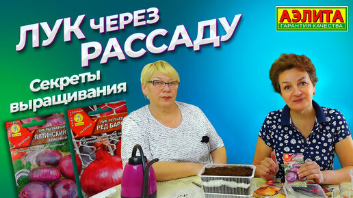 Выращивание ЛУКА из СЕМЯН. ЛУК ЧЕРЕЗ РАССАДУ.