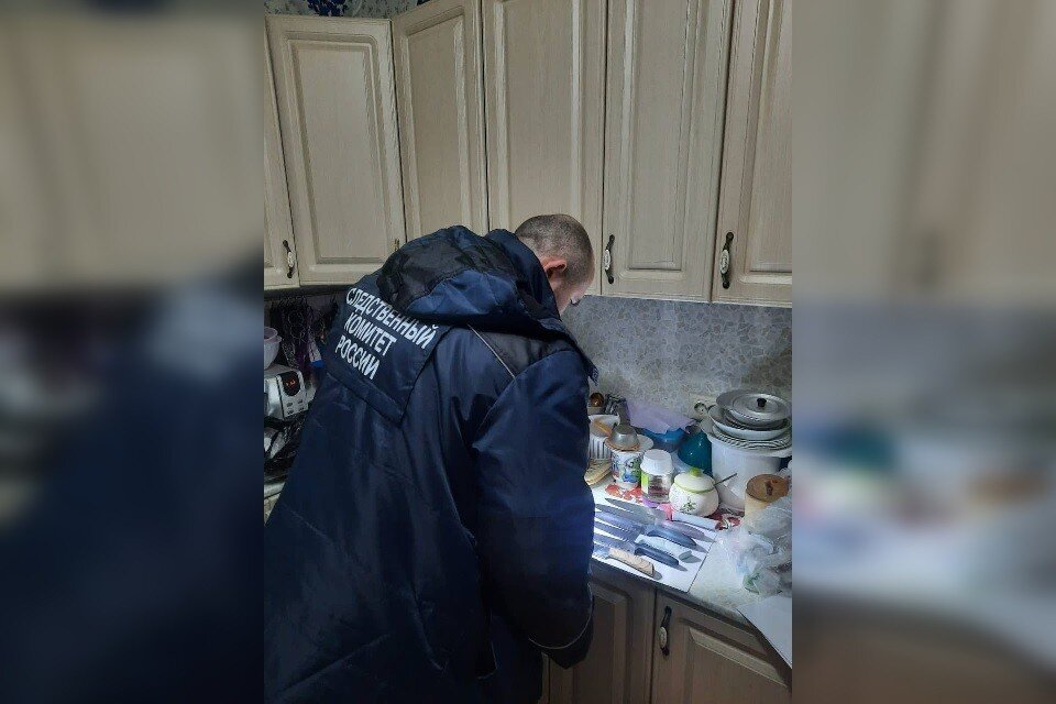     На юго-западе Москвы женщина зарезала свою племянницу в ходе конфликта  ГСУ СК России по Москве