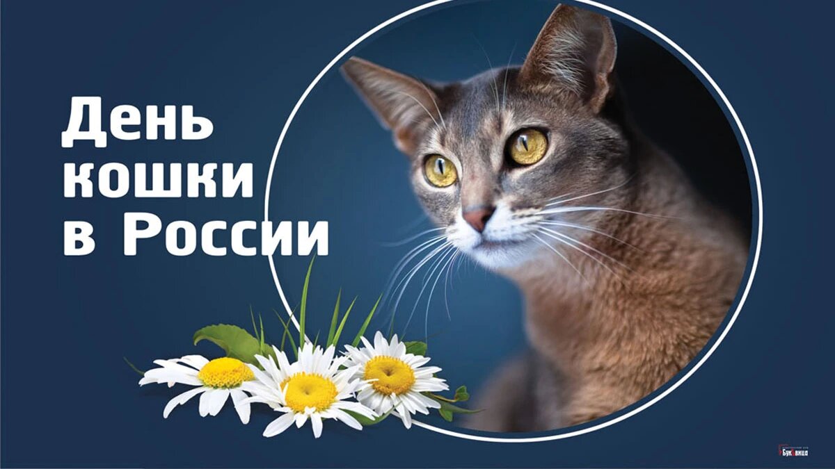 Открытки День кошек