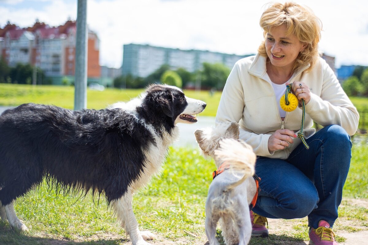 Давай поиграем в мячик!