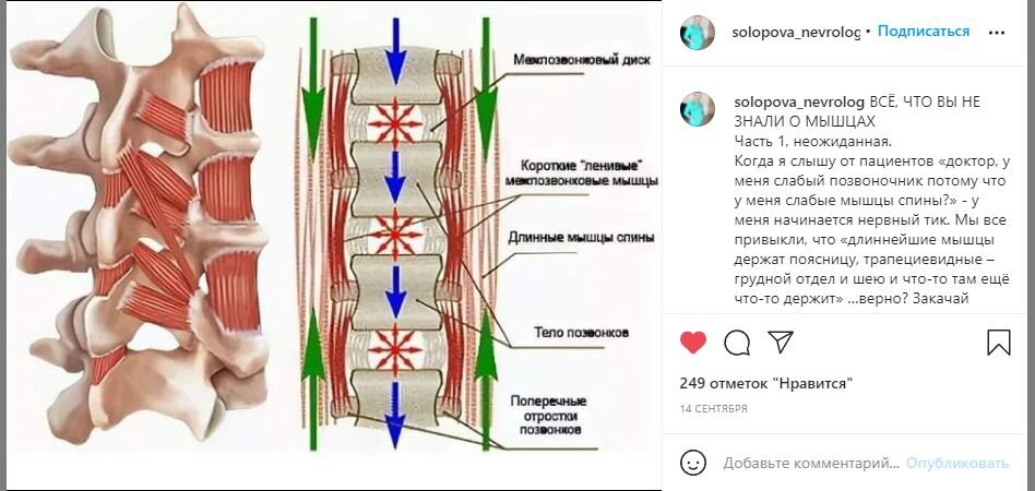 Мышечный спазм в спине: как снять, симптомы и лечение | Клиника Temed