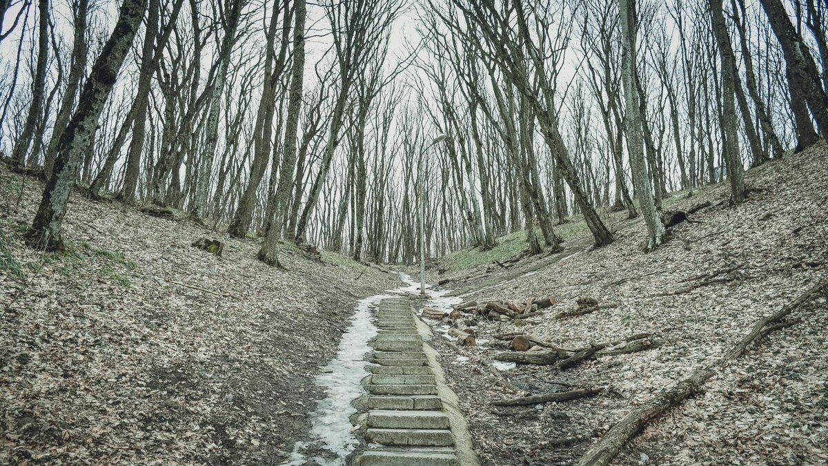     Утром температура воздуха составит +1 градус, а вот днем, по данным «Гисметео», потеплеет до отметки + 9 и ожидается солнечная погода без осадков.
