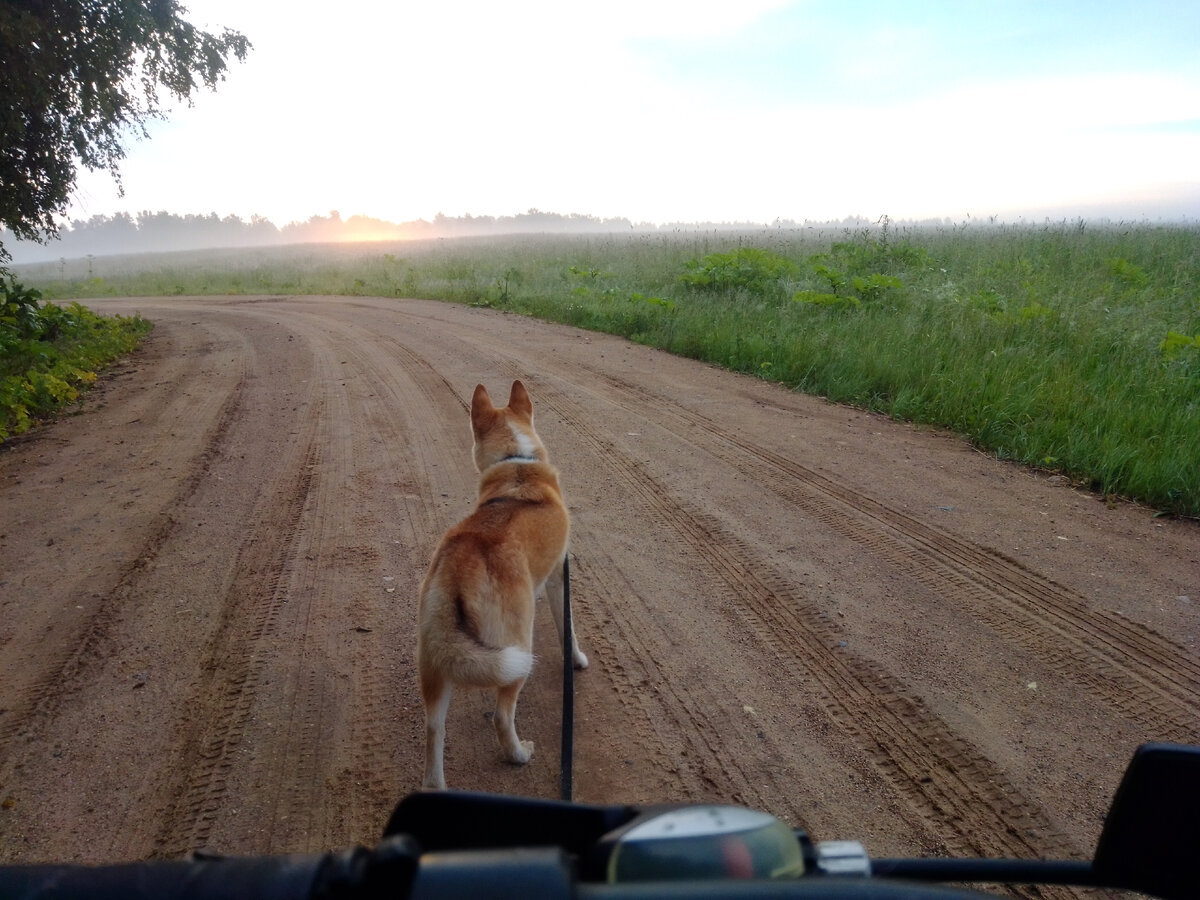 Начало прогулки. 
