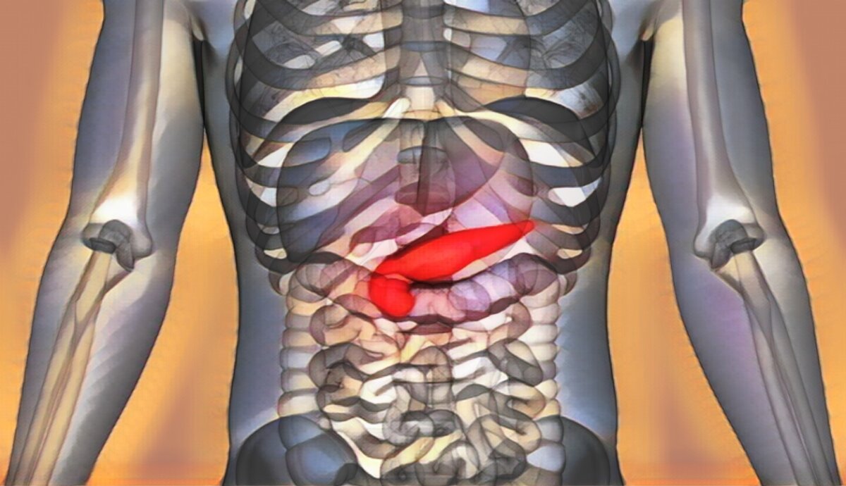 Опасные заблуждения: почему ваше здоровье может быть под угрозой из-за  неправильного отношения к поджелудочной железе | Здоровый Дух | Дзен