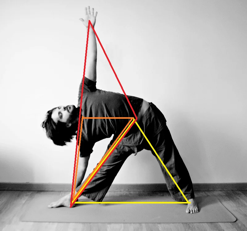 Взято из общего доступа.