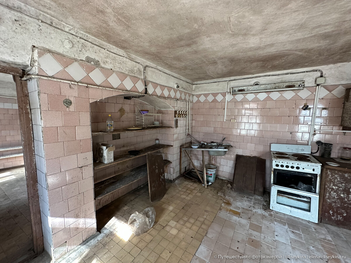 Гуляла по заброшенной усадьбе, увидела открытую дверь и решила ...