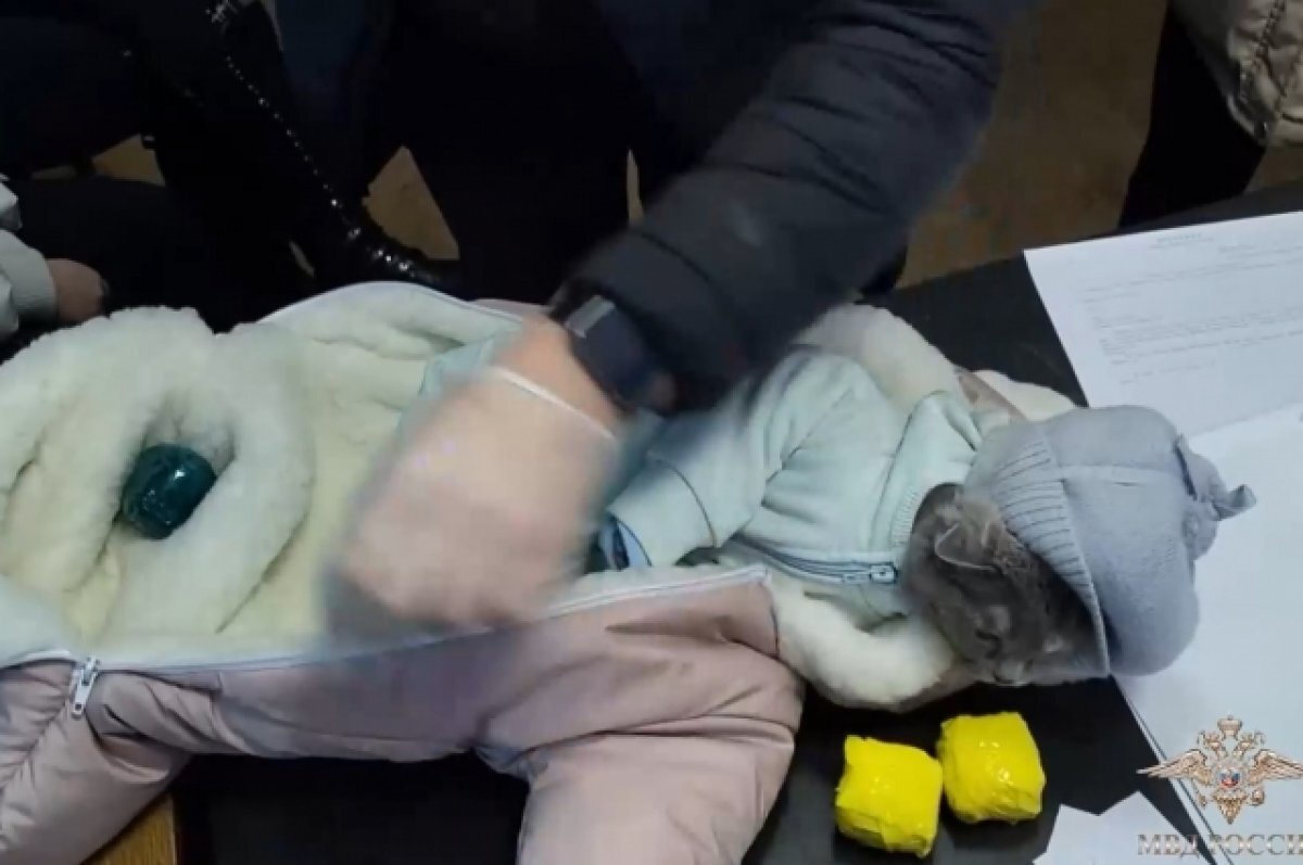    В комбинезоне были спрятаны наркотики, а также кошка.