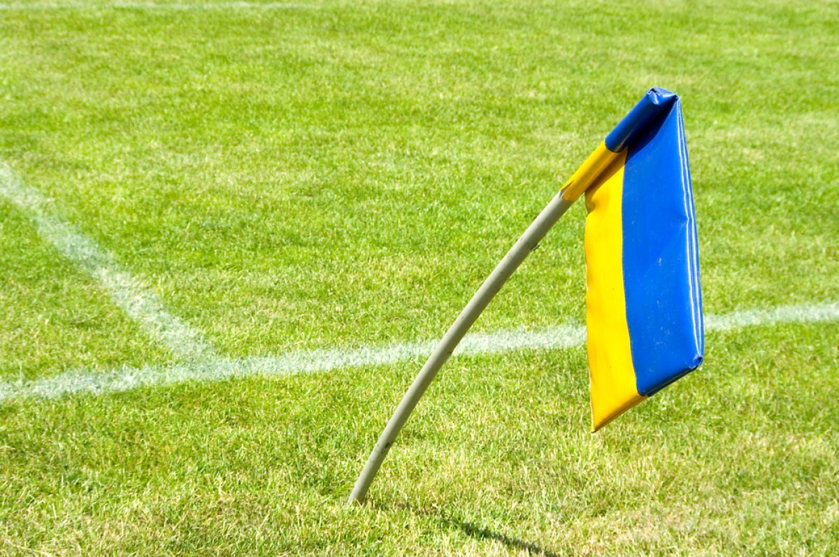    Как фанера над Парижем. Минспорта Украины оставит спортсменов без Игр-2024