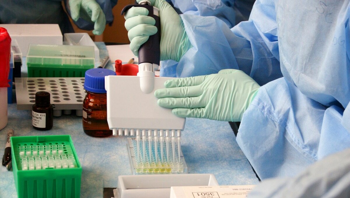     В Ростовской области у 136 местных жителей диагностировали коронавирус, статистикой поделился портал Стопкоронавирус.рф.