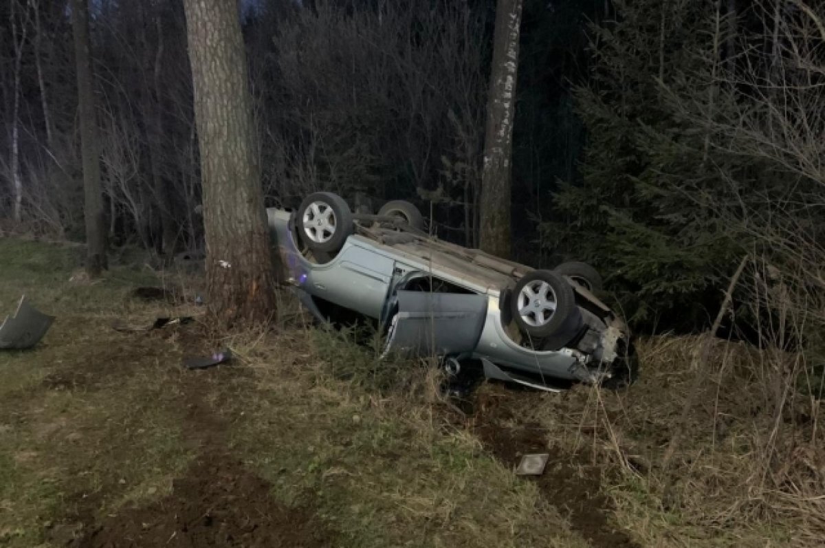    В ГИБДД сообщили причины смертельной аварии на М-10 под Тверью