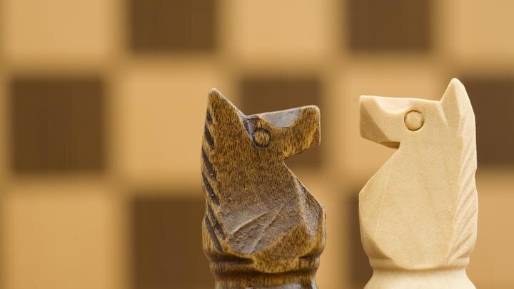 ФОТО: PIET MALL/HTTP://IMAGEBROKER.COM/#/SEARCH/GLOBALLOOKPRESS 