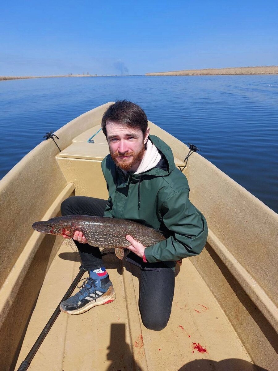 виды рыб каспийского моря