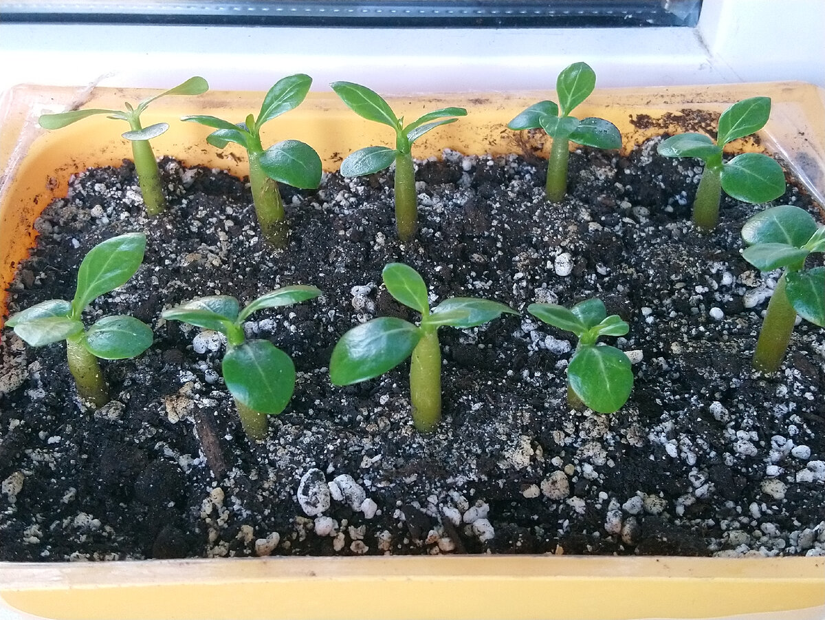 Групповой снимок от 19.06.23