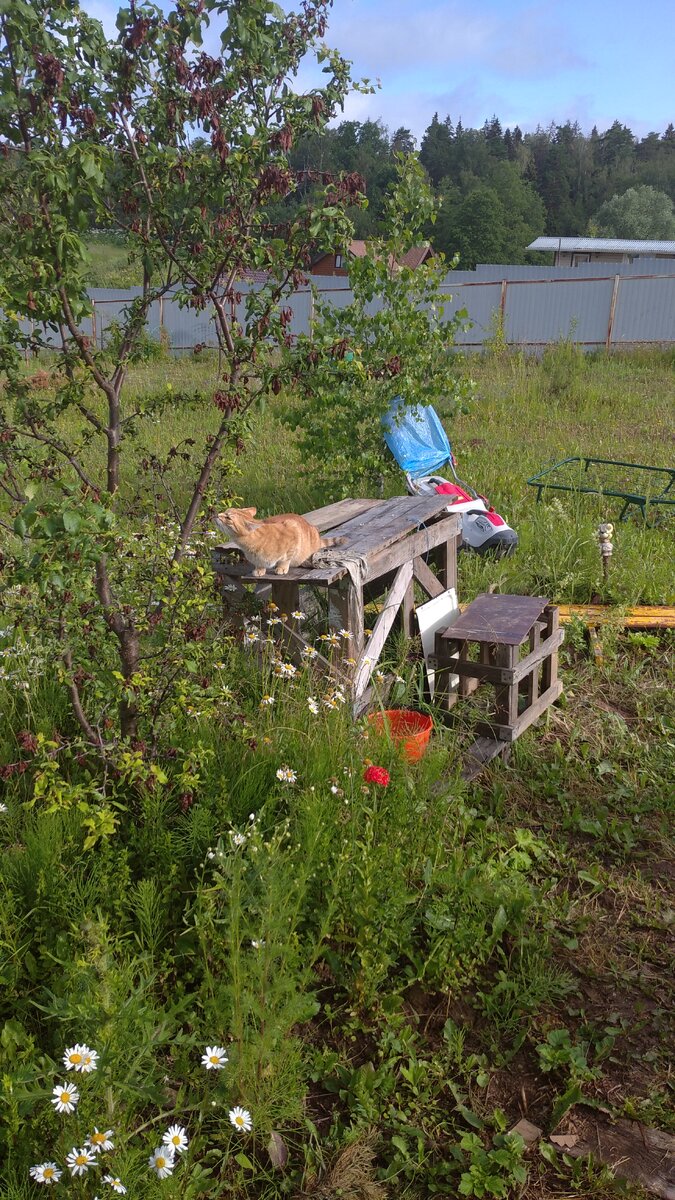 Личное фото.