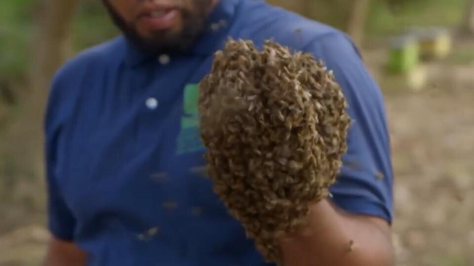 Фото: © Скриншот видео