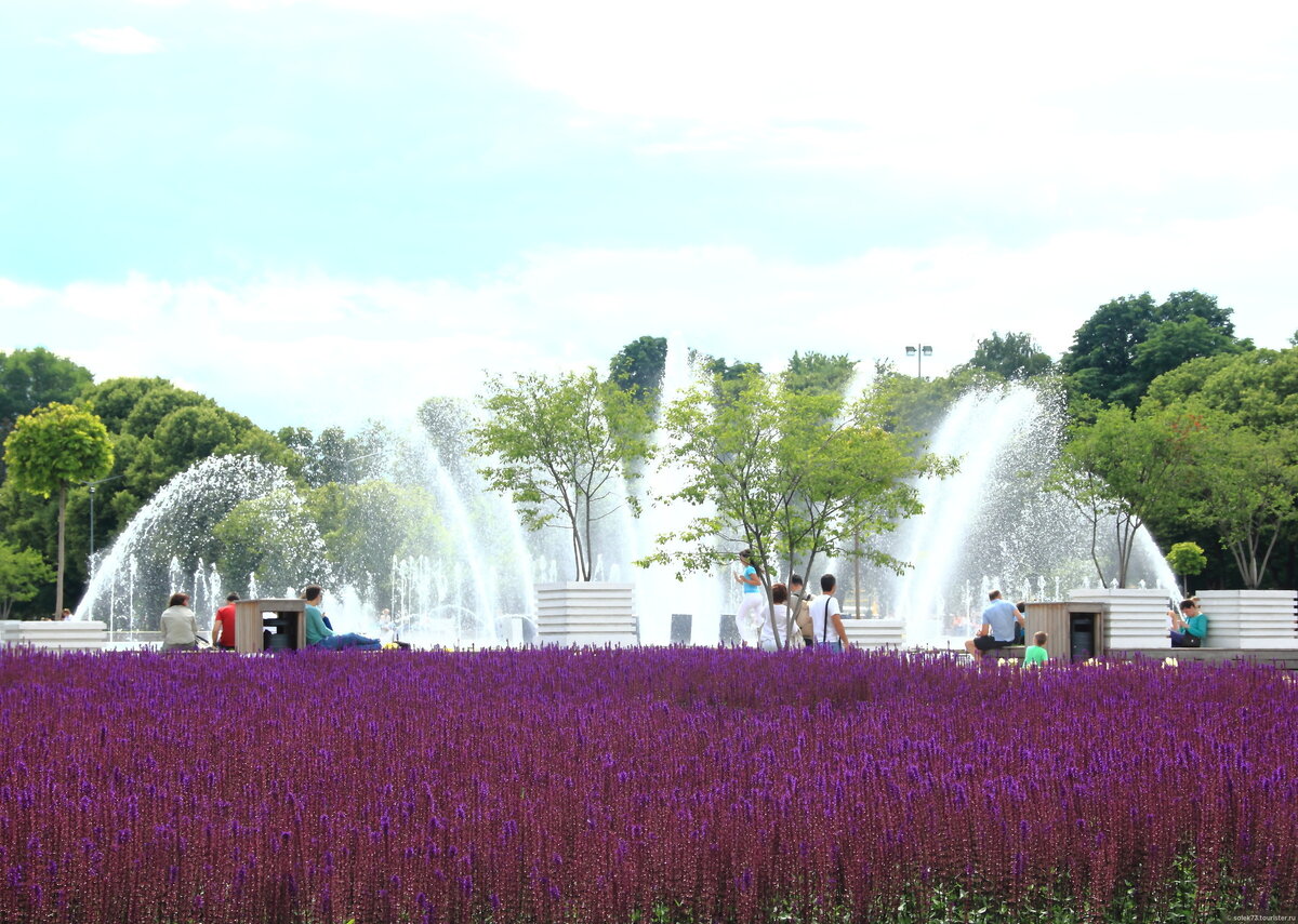 © Катерина Солосятова 