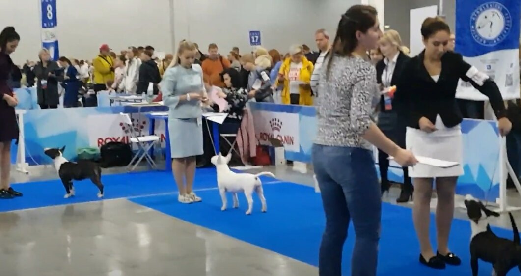 пермь 2018 скрин