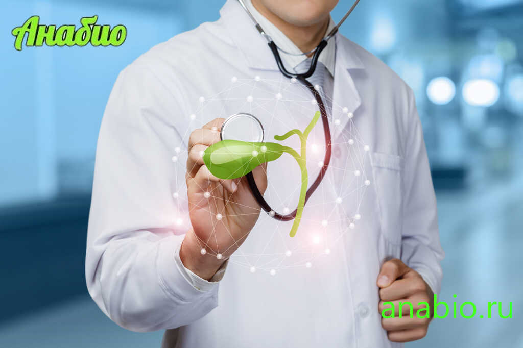 Желчный пузырь