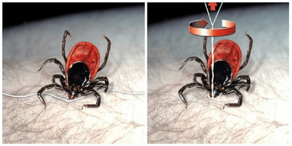 Фото взято из открытых источников